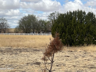 0 E Highway 60 Unit 255815, Springerville, AZ 85938