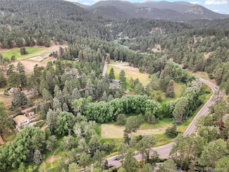 5411 Parmalee Gulch Rd, Indian Hills, CO 80454