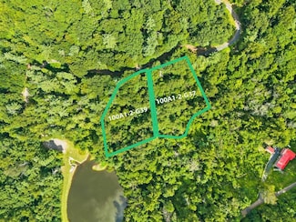 Lots G37 & G39 Lake Rd, Stanley, VA 22851