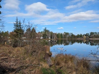 10780 Kenny Ln, Briley, MI 49709