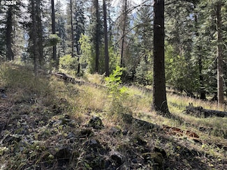 0 Beske Ln Unit 24177981, Wallowalake, OR 97846