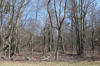 86 & 87 Buck Hill Rd, Blakeslee, PA 18610