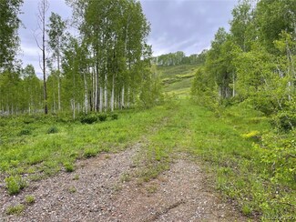 27100 St Louis Place, Clark, CO 80428