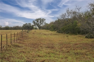 TBD Texas 239, Goliad, TX 77963