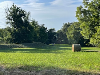 0 Chinn Springs & Cave Creek Rd Unit 25-440, Batesville, AR 72501