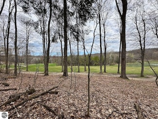 Unit 19 Forest Trail, Custer Township, MI 49615