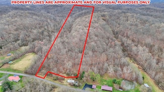 32290 Bailey Run Rd, Salisbury Township, OH 45769