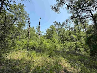 0 Tern Rd, Woodville, FL 32305