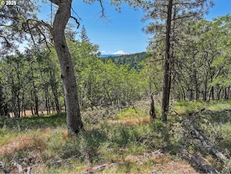 0 Oak Knoll Ridge Rd Unit 11, Lyle, WA 98635