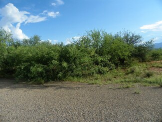 486 Via Guayava Unit 12, Rio Rico, AZ 85648