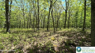 151 Bear Dr, Lehman Township, PA 18328