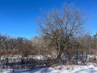 TBD Fox Run Ln, Cuyuna, MN 56444