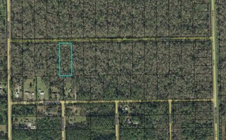3823 Apple Ave, Bunnell, FL 32110