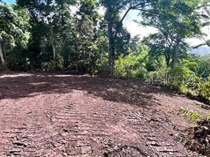 0 Bo Damian Abajo Unit MFRPR9114959, Orocovis, PR 00720