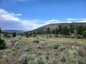 0 Lot 17a Rito Hondo Rd Unit 15109223, Antonito, CO 81120