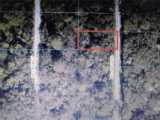 TBA NE 144th Terrace, Fort Mc Coy, FL 32134