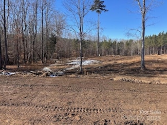 0 Molasses Mill Rd Unit 2 & 3 CAR4215020, Woodleaf, NC 27054