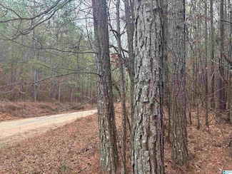 0 County Road 823 Unit Lot 9 21420724, Wadley, AL 36276