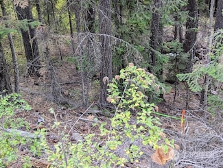 0 XX Sawmill Rd, Cle Elum, WA 98922