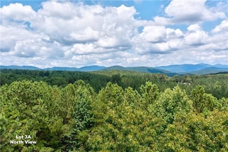3A Patriot View Dr, Dahlonega, GA 30533