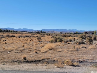 1765 Crockett Ln, Gardnerville, NV 89410