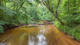 0 Fortune Hole Rd E Unit 10567416, Hamilton, GA 31811