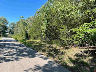 002-05392-000 Hazelnut Cir, Mountain Home, AR 72653