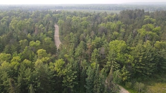 Cherry Creek Trail, Grayling, MI 49738