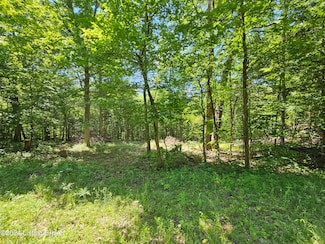 4B Wooldridge Ferry Rd, Radcliff, KY 42701