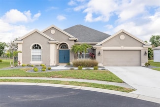 9807 Balsaridge Ct, Trinity, FL 34655