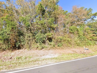 Pine St, Cerro Gordo, NC 28430