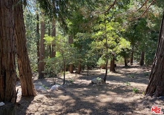 0 Grass Valley Unit 25540707, Lake Arrowhead, CA 92352
