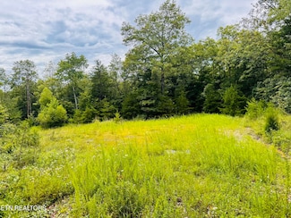 0 Collins Turnpike Unit 1309541, Deer Lodge, TN 37726