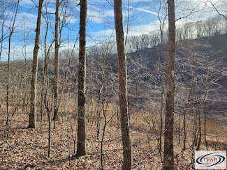 lot 5 Golf Course Ln, Holladay, TN 38341