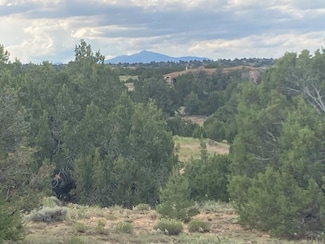 L29 B1 Black Diamond Dr, Walsenburg, CO 81089