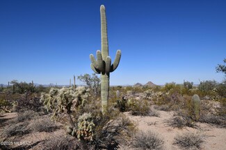 5721 N Tula Ln, Picture Rocks, AZ 85743
