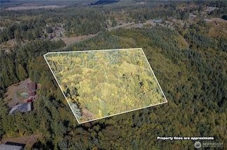 0 Lot 4 Spirit Lake Parcel Wk3516014 Hwy, Castle Rock, WA 98611