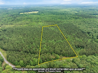 0 Cash School Rd, Enville, TN 38332