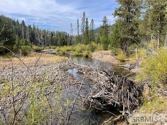 TBD Napias Creek Rd, Salmon, ID 83467