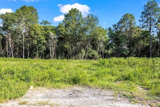 000 Walker Ave, New Ellenton, SC 29809