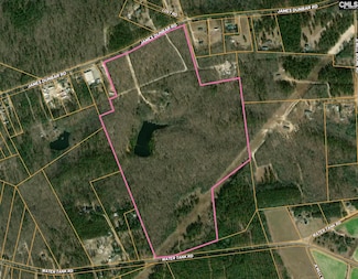 841 James Dunbar Rd, Pelion, SC 29123