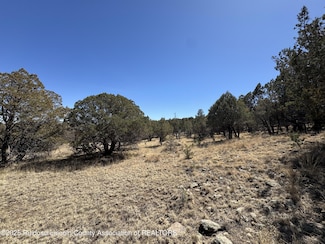 190 Altamira Dr, Alto, NM 88312