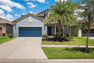 11032 Purple Martin Blvd, Riverview, FL 33579