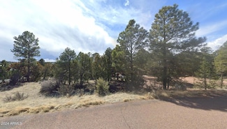 2223 Fairway Dr Unit 16, Overgaard, AZ 85933