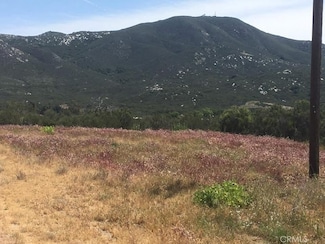 7 Willow Creek Rd, Sage, CA 92544
