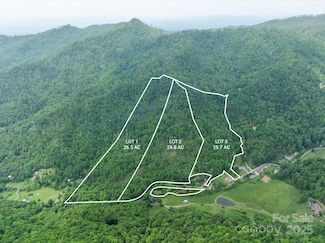 99999 Moody Cove Rd Unit 2, Weaverville, NC 28787
