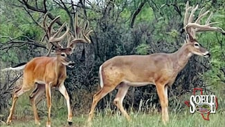 360 Murphy Rd, Quanah, TX 79252