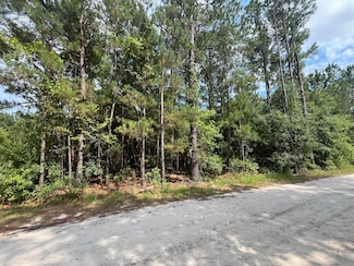 398 Pond Town Rd, Hampton, SC 29924