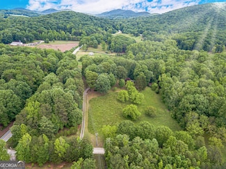 6926 Whelchel Cir, Clermont, GA 30527