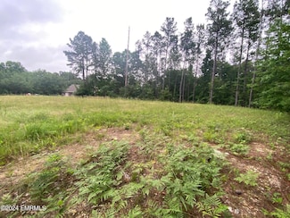 0 Schamberville Ln, Collinsville, MS 39325